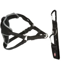 Veiligheidsgordel 'Protect' -Benodigdheden Voor Huisdieren Winkel 043024 2