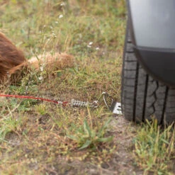 Oprijplaat Voor Aanlijnen -Benodigdheden Voor Huisdieren Winkel 045365 4