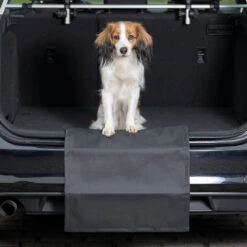 Bumperbeschermer 'Economy' 9 Bumperbeschermer 'Economy' -Benodigdheden Voor Huisdieren Winkel 046105 4