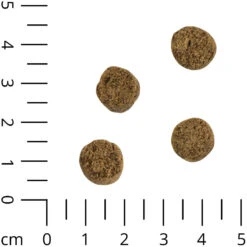 Gevogelte-brok -Benodigdheden Voor Huisdieren Winkel 056004 2