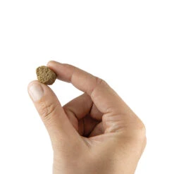 Lam-crockies -Benodigdheden Voor Huisdieren Winkel 056018 2