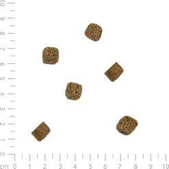 Lam-crockies -Benodigdheden Voor Huisdieren Winkel 056018 3