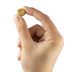 DOGREFORM Kikker Koekjes, Zonder Granen -Benodigdheden Voor Huisdieren Winkel 056031 2