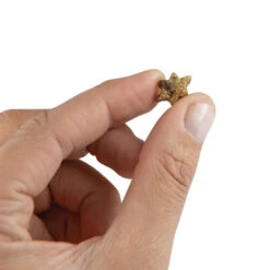 DOGREFORM Micro-sterren, Zonder Granen -Benodigdheden Voor Huisdieren Winkel 056040 2