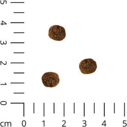 Benodigdheden Voor Huisdieren Winkel -Benodigdheden Voor Huisdieren Winkel 057040 1