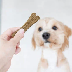 Honden-kauwartikel PlaqueOff® Dental Care Bones -Benodigdheden Voor Huisdieren Winkel 0590091 3