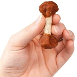 Stick Met Kippenvlees -Benodigdheden Voor Huisdieren Winkel 0590132 3