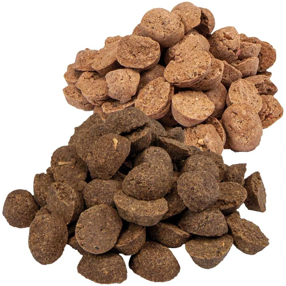 Fitness-Bits PLUS 2 Fitness-Bits PLUS - Afbeelding 2