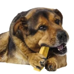 Schecker Himalaya Kauwkaas 7 Schecker Himalaya Kauwkaas -Benodigdheden Voor Huisdieren Winkel 0590252 3