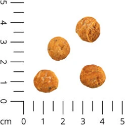 Insecta Nibbles Silkworm (zijderups & Wortel) -Benodigdheden Voor Huisdieren Winkel 0590258 2