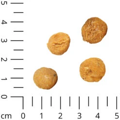Insecta Nibbles Soldier Fly (zwarte Soldaatvlieg & Appel) -Benodigdheden Voor Huisdieren Winkel 0590260 2
