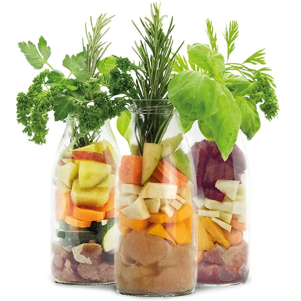 SmoothieDog Smoothies Voor Honden 4 SmoothieDog Smoothies Voor Honden - Afbeelding 4