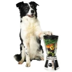 SmoothieDog Smoothies Voor Honden 9 SmoothieDog Smoothies Voor Honden -Benodigdheden Voor Huisdieren Winkel 0590278 4