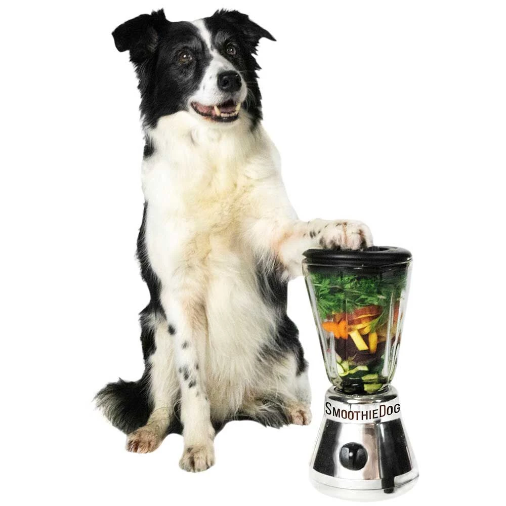 SmoothieDog Smoothies Voor Honden 5 SmoothieDog Smoothies Voor Honden - Afbeelding 5