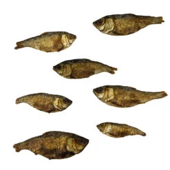 Mojarra Vissnack -Benodigdheden Voor Huisdieren Winkel 0590298 2