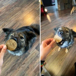 Chipies - Knapperige, Vlezige Chips Voor Honden - Rund - -Benodigdheden Voor Huisdieren Winkel 0590402 2