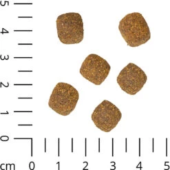Schecker Veggie-Dry - Vegetarisch Hondenvoer      -Benodigdheden Voor Huisdieren Winkel 0590461 2