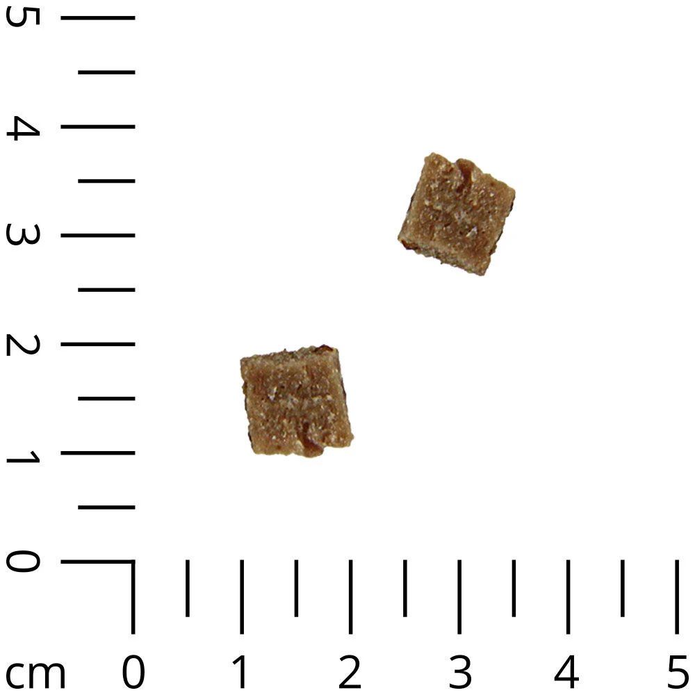 DOGTRAINERS Zalm Puur 2 DOGTRAINERS Zalm Puur - Afbeelding 2