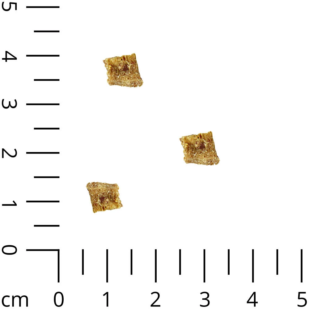 DOGTRAINERS Kalkoen Puur 2 DOGTRAINERS Kalkoen Puur - Afbeelding 2