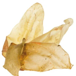 Runderoren -Benodigdheden Voor Huisdieren Winkel 059296 3