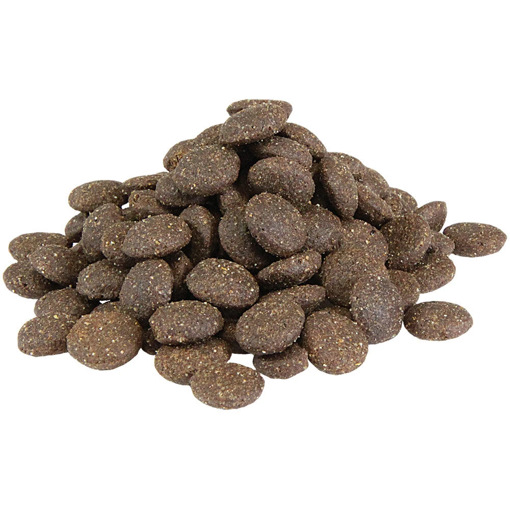 Schecker Dieetvoer Voor Honden Met Nierproblemen (droogvoer) 3 Schecker Dieetvoer Voor Honden Met Nierproblemen (droogvoer) - Afbeelding 3