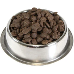 Schecker Dieetvoer Voor Honden Met Nierproblemen (droogvoer) 7 Schecker Dieetvoer Voor Honden Met Nierproblemen (droogvoer) -Benodigdheden Voor Huisdieren Winkel 059517 3