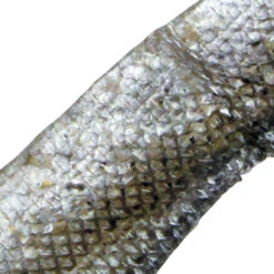 Zalmhuid XXL - Vers-gedroogd -Benodigdheden Voor Huisdieren Winkel 059566 2