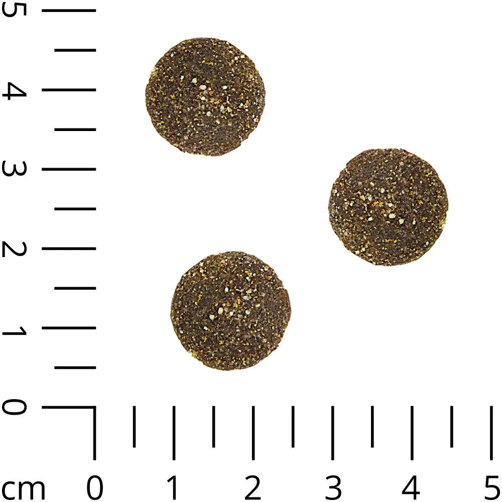 Premium Struisvogel & Gierst 3 Premium Struisvogel & Gierst - Afbeelding 3