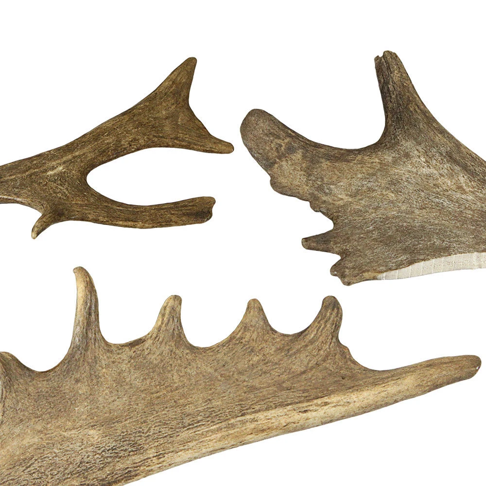 DOGREFORM Damhert-gewei-snack 3 DOGREFORM Damhert-gewei-snack - Afbeelding 3