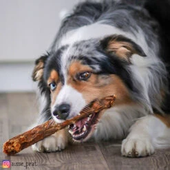 DOGREFORM Eendennekken 5 DOGREFORM Eendennekken -Benodigdheden Voor Huisdieren Winkel 059828 2