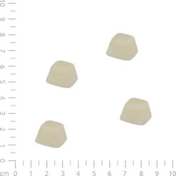 Biofood Schapenvet Bonbons met Zalm 5 Biofood Schapenvet Bonbons met Zalm -Benodigdheden Voor Huisdieren Winkel 059843 2