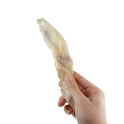 Gedroogde Konijnenoren -Benodigdheden Voor Huisdieren Winkel 059855 3