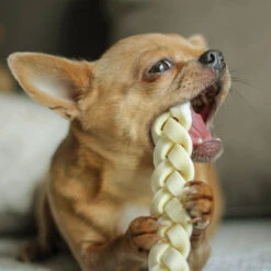 Runderhuid-kauwkabels -Benodigdheden Voor Huisdieren Winkel 059865 2