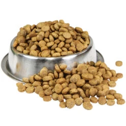 Benodigdheden Voor Huisdieren Winkel -Benodigdheden Voor Huisdieren Winkel 059879 1