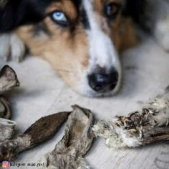 Hondensnack Konijnenoren Met Vacht -Benodigdheden Voor Huisdieren Winkel 059923 3