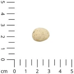 Cakes & Biscuits (snack Selection) - Drops Met Struisvogel -Benodigdheden Voor Huisdieren Winkel 060024 2