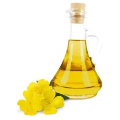 Teunisbloemolie -Benodigdheden Voor Huisdieren Winkel 060070 3