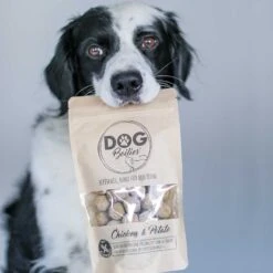 Dog Boilies -Benodigdheden Voor Huisdieren Winkel 060118 4