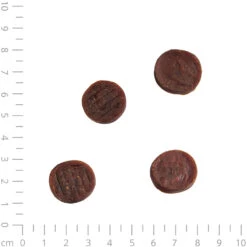 WILD Tuna Tonijnsnack 7 WILD Tuna Tonijnsnack -Benodigdheden Voor Huisdieren Winkel 060147 3