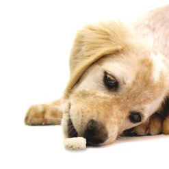 Kokossticks -Benodigdheden Voor Huisdieren Winkel 060178 2