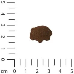 Mini-snacks 'Lammetjes' -Benodigdheden Voor Huisdieren Winkel 060211 2