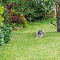 Trixie Complete Lijnset -Benodigdheden Voor Huisdieren Winkel 068028 2