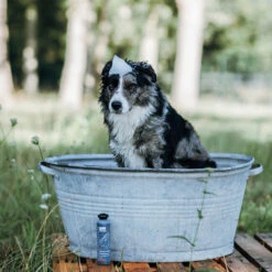 Greenfields Hondenshampoo -Benodigdheden Voor Huisdieren Winkel 071185 4