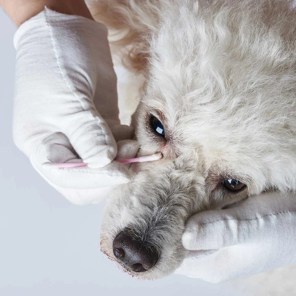 Sensitiv Traanvlekverwijderaar 2 Sensitiv Traanvlekverwijderaar - Afbeelding 2