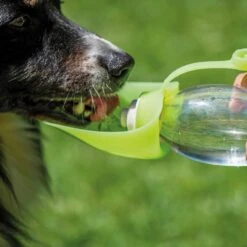 Honden-drinkfles Met Silicone-drinkblad -Benodigdheden Voor Huisdieren Winkel 072149 4