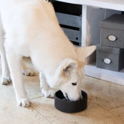 Keramieken Voerbak ZigZag -Benodigdheden Voor Huisdieren Winkel 072234 3