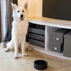 Keramieken Voerbak ZigZag -Benodigdheden Voor Huisdieren Winkel 072234 4