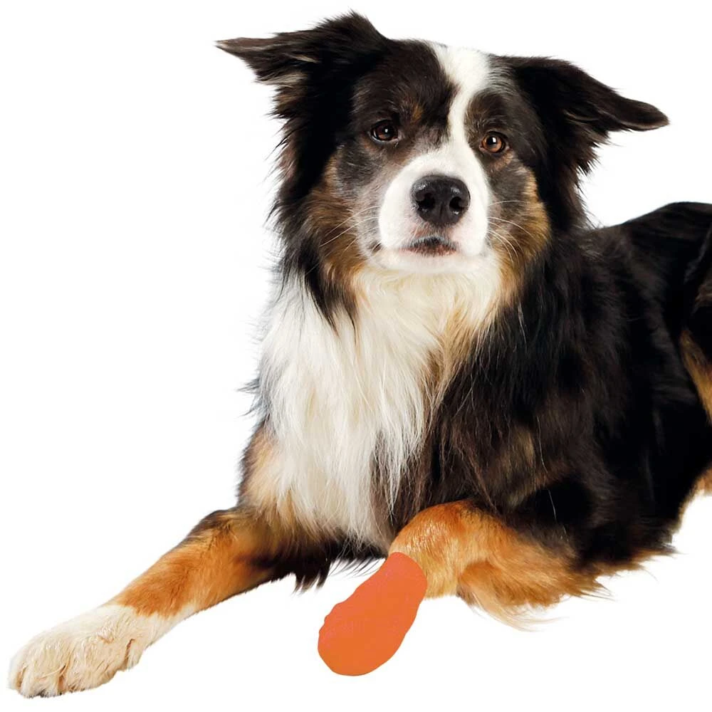 Honden-verband 2 Honden-verband - Afbeelding 2