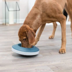 Trixie Anti-schrok Voerbak Rocking Bowl -Benodigdheden Voor Huisdieren Winkel 0740145 4