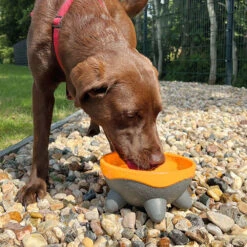 Kiwi Walker UFO-voerbak -Benodigdheden Voor Huisdieren Winkel 0740150 3